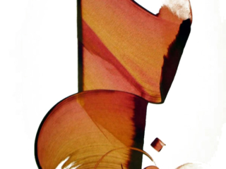 Calligraphic painting